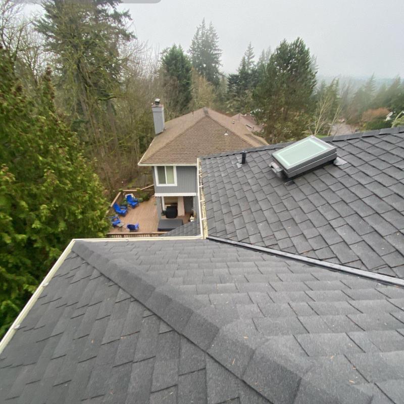 Roof shingles and skylight after cleaning and debris removal
