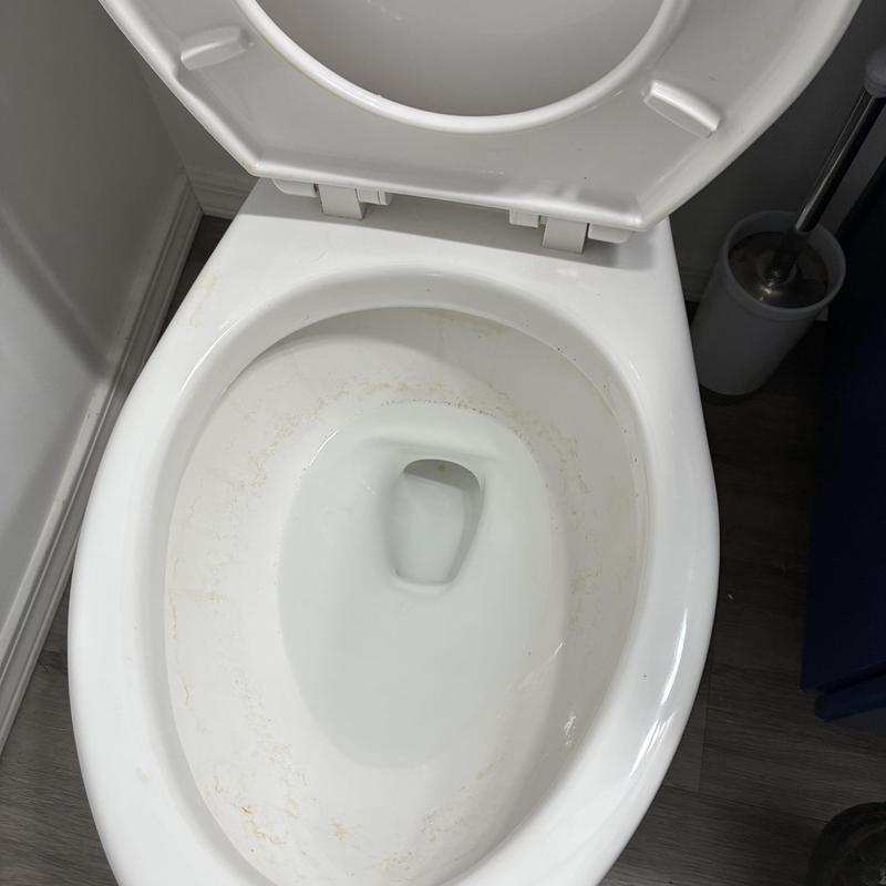 Toilet bowl and trap way clearing with augur tool