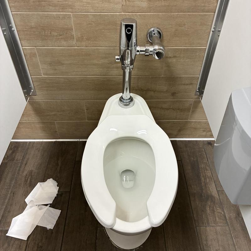 Flushometer valve with manual override button installed