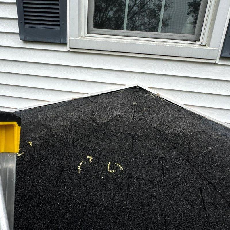 Asphalt roof shingles with marked hail damage spots