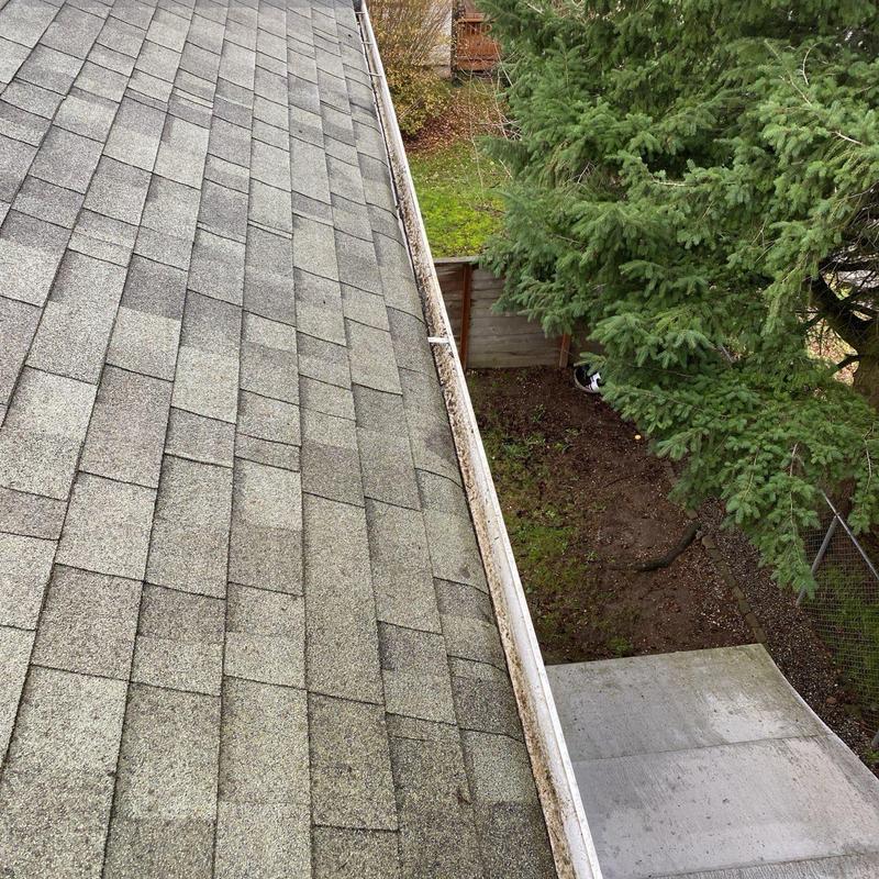 Roof gutter with debris before cleaning in Tacoma, WA