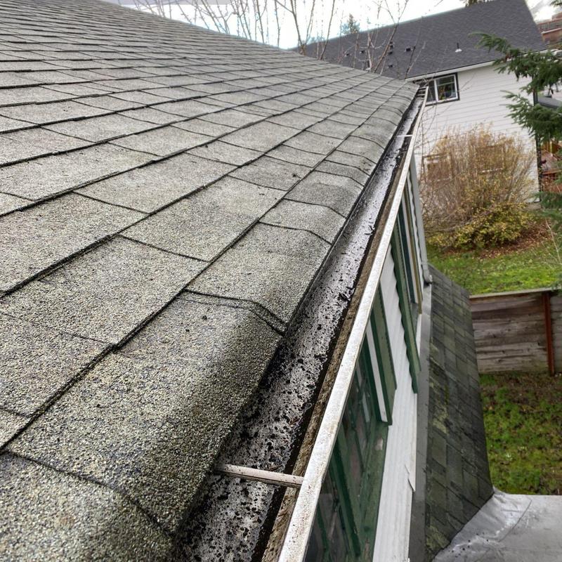 Gutter system with debris buildup on residential roof