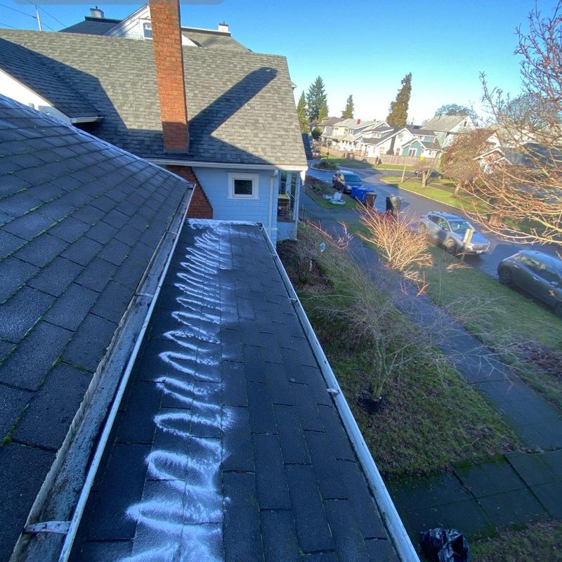 Roof moss removal treatment on asphalt shingles
