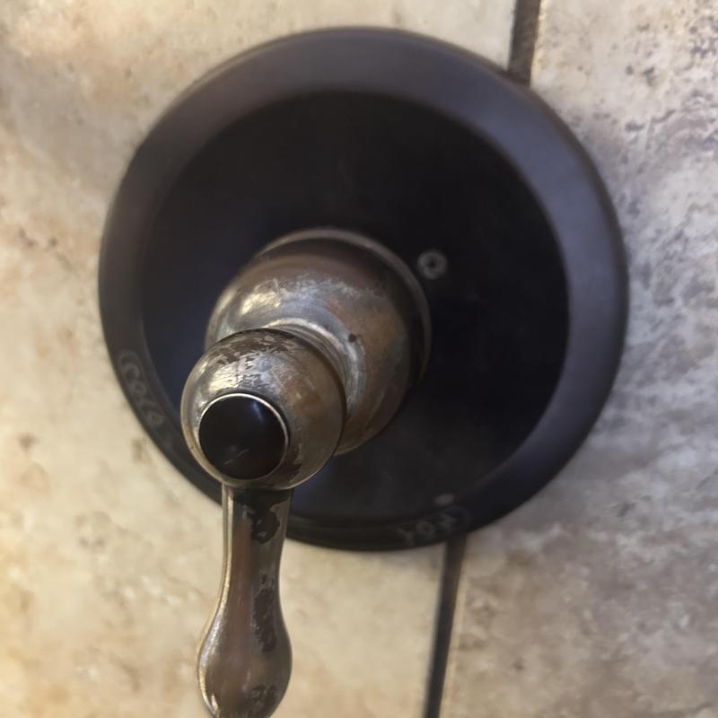 Tub shower valve handle with wear and corrosion