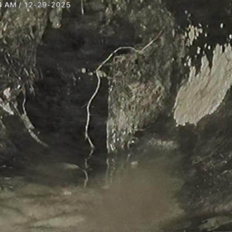 Sewer pipe with root intrusion and broken drain visible