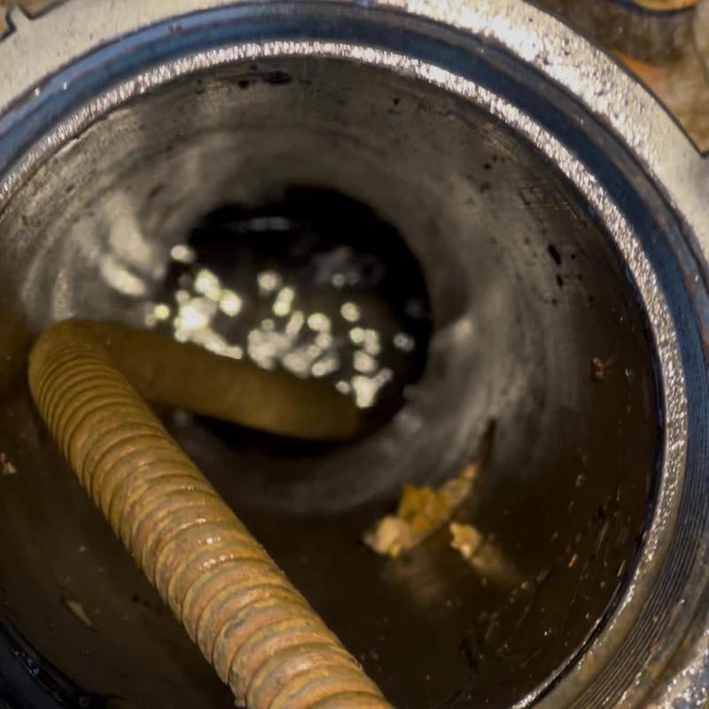 Main drain pipe with snake clearing clog and roots