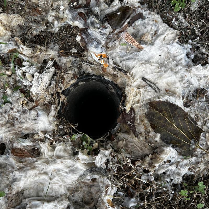 Main sewer line clogged with grease buildup