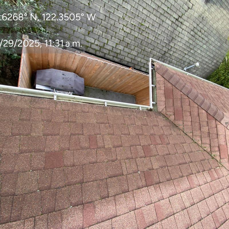 Asphalt shingle roof with clean gutters and surrounding area