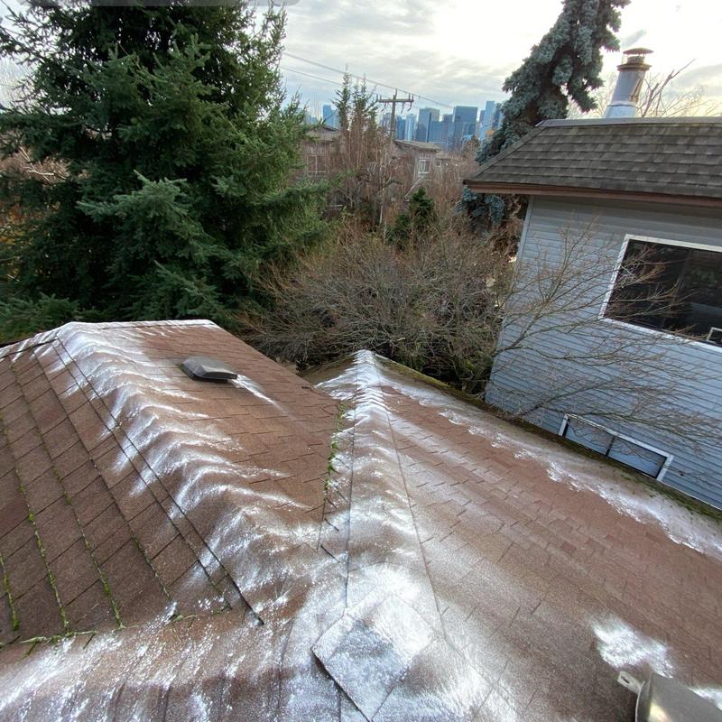 Roof moss treatment powder applied on shingle roof