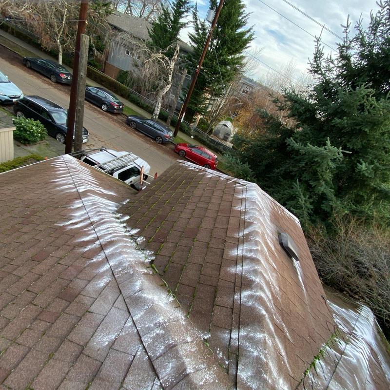 Asphalt shingle roof with moss removal treatment applied