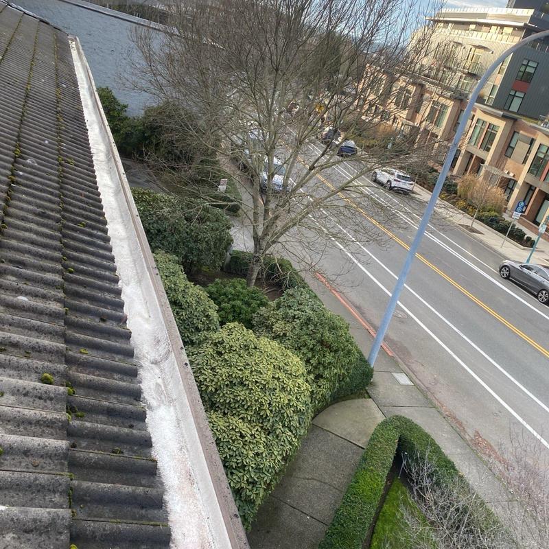 Gutter and roof valley debris buildup on tile roof