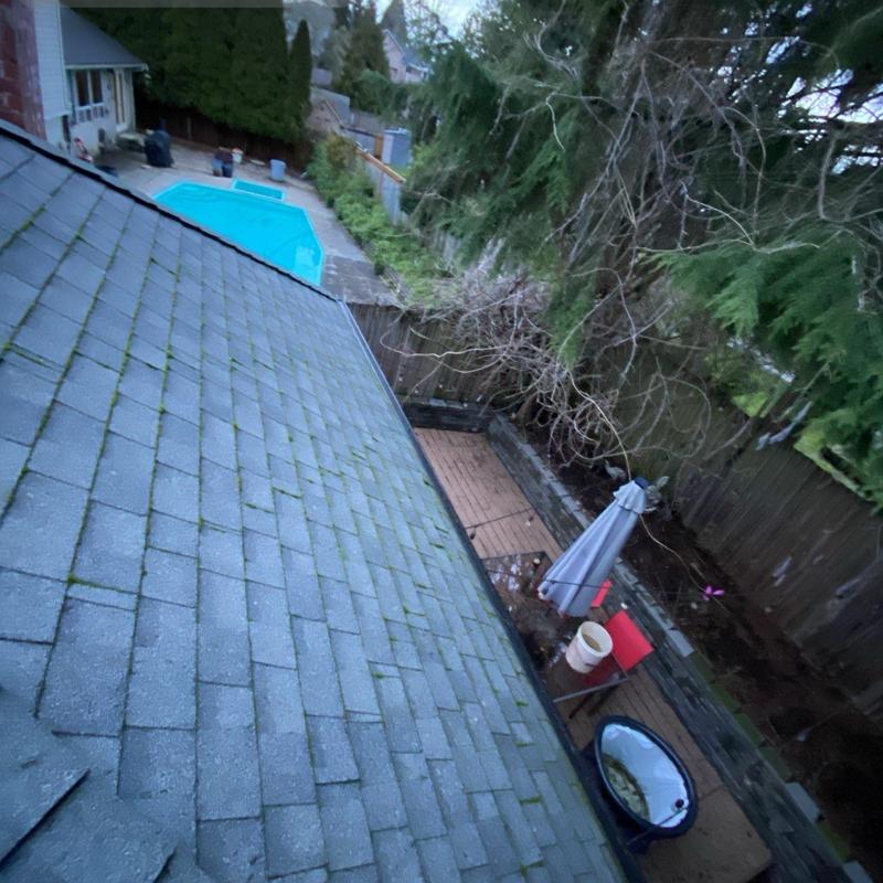 Roof shingles with moss and debris buildup