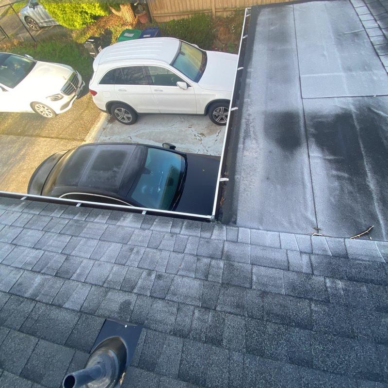 Roof shingles and gutter cleaning with moss treatment