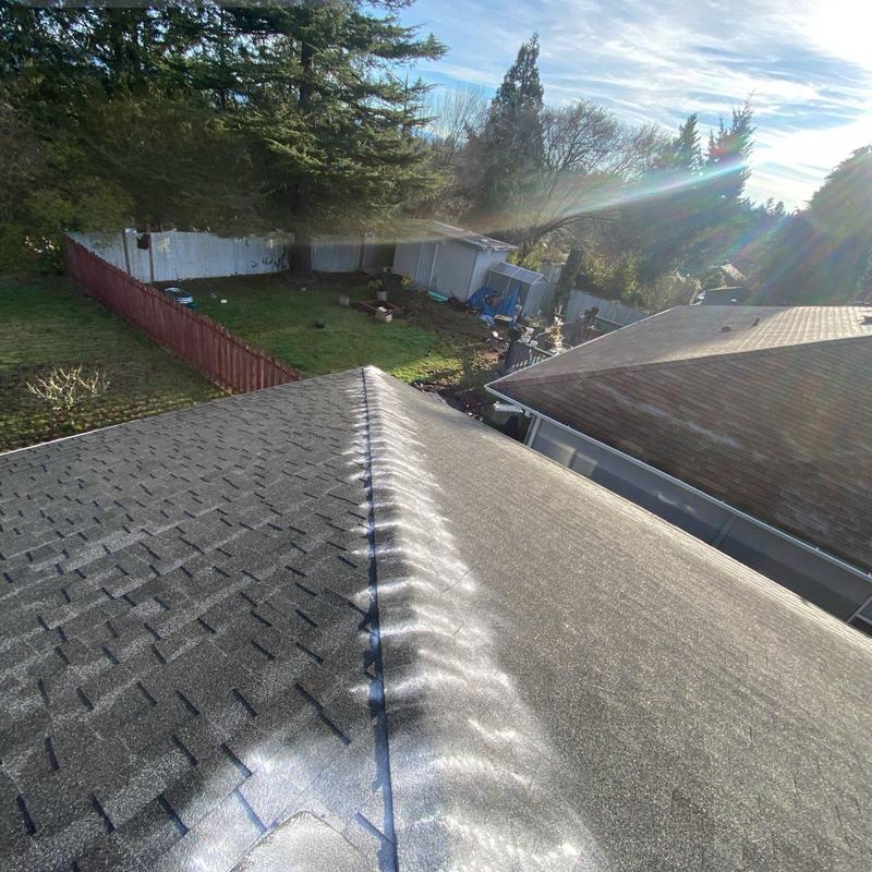 Asphalt shingle roof with moss treatment and cleaning
