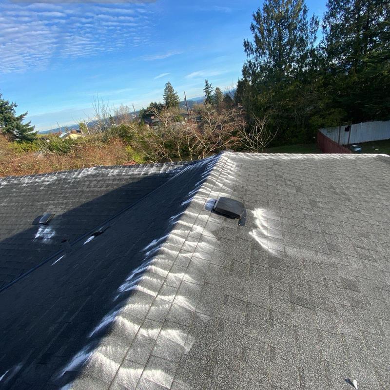 Roof shingles after moss treatment and cleaning