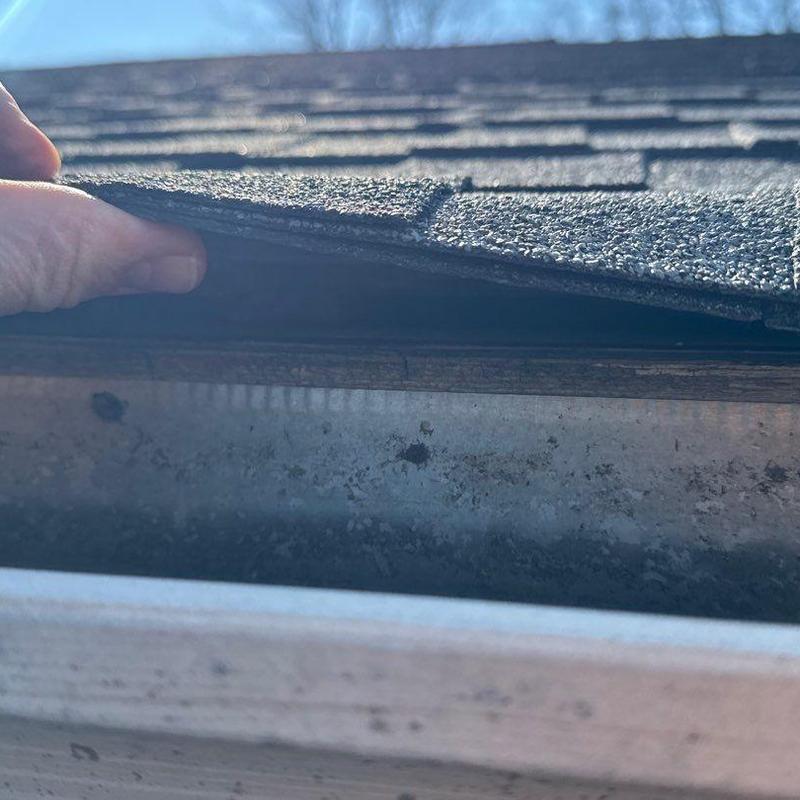 Asphalt shingle roof edge lifted for damage inspection