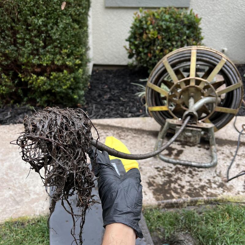 Storm drain snake with debris after clearing blockage