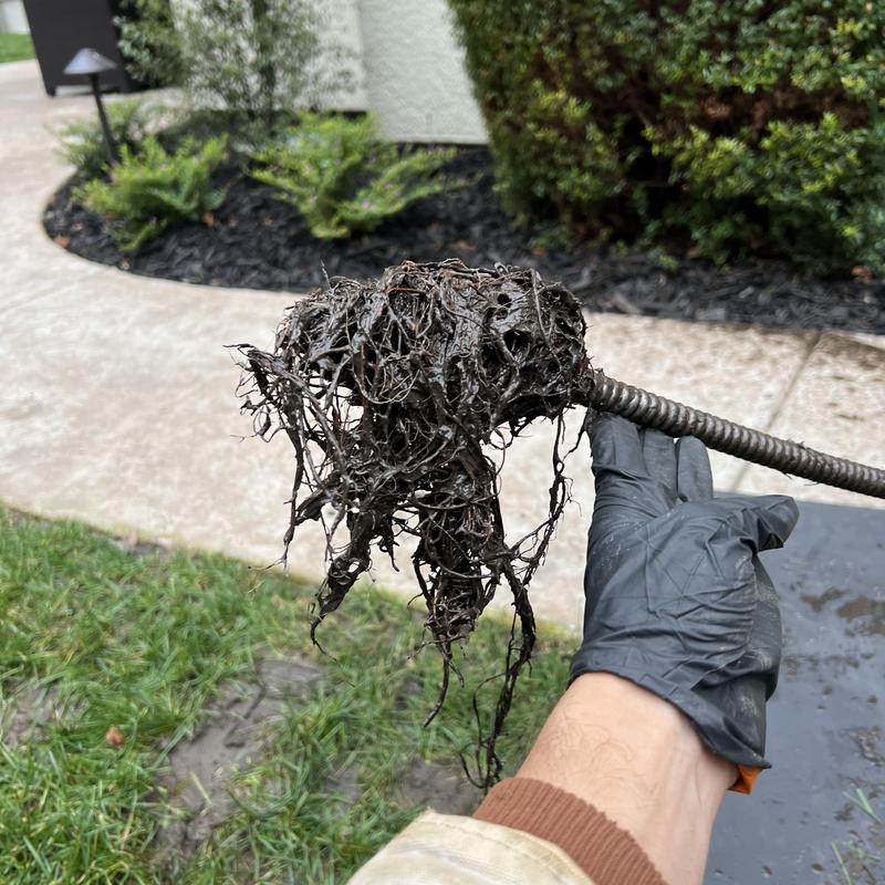 Storm drain snake clogged with roots and debris outdoors