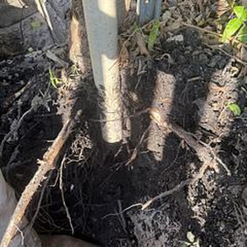 Pressure elbow pipe repair with PVC and fittings underground