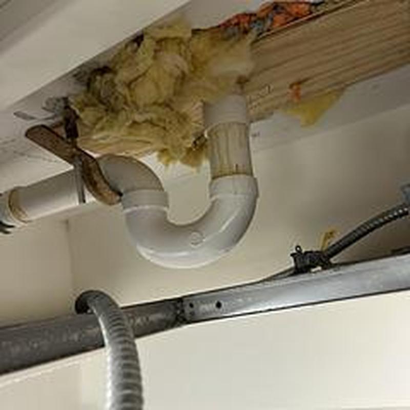 PVC P-trap plumbing with insulation in ceiling cavity