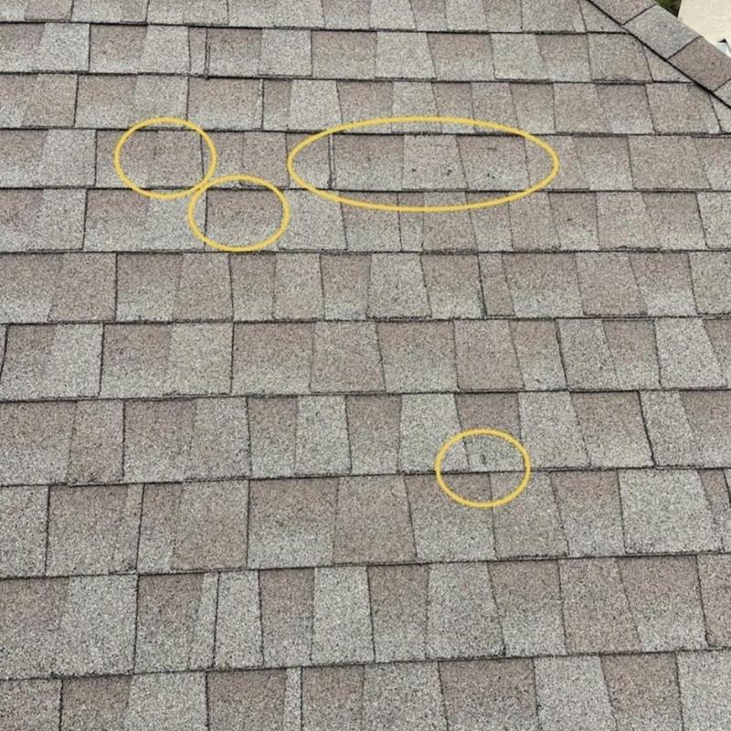 Asphalt shingle roof hail damage marked with yellow circles