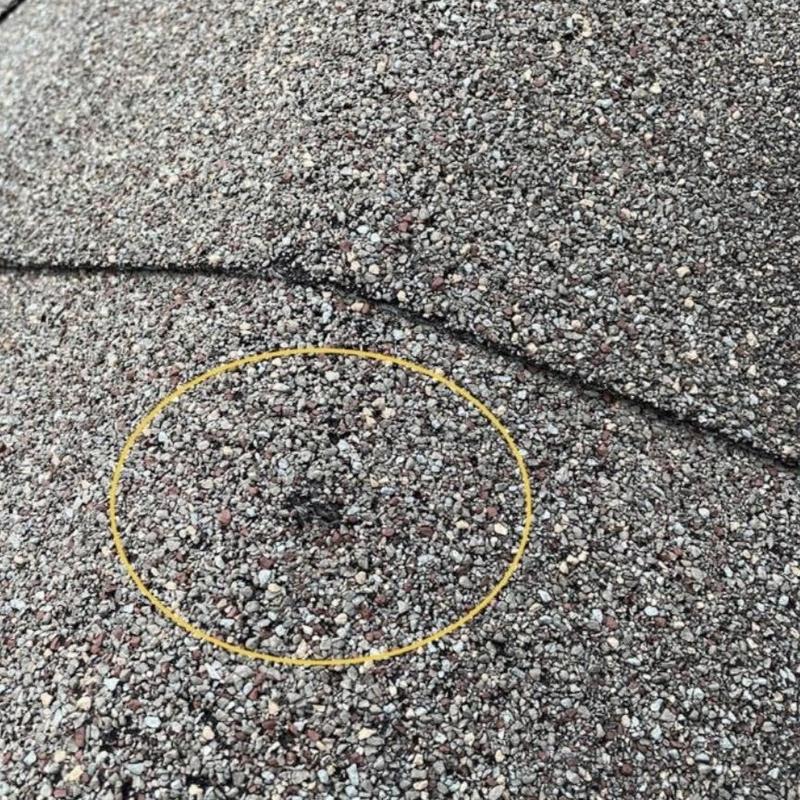 CertainTeed asphalt shingle roof with hail damage spot