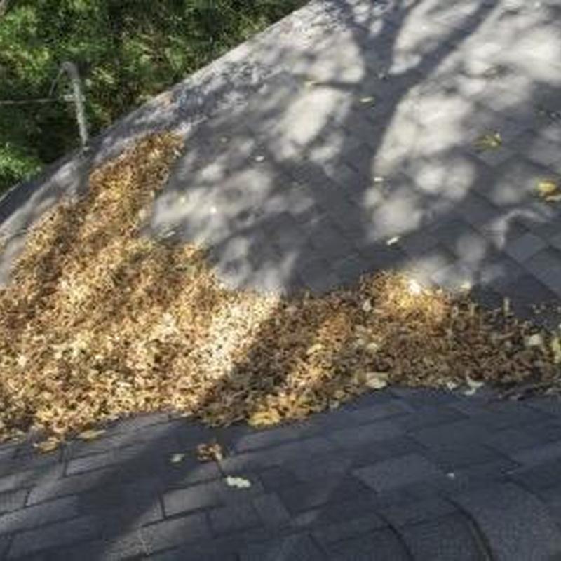 Asphalt shingle roof valley clogged with leaves