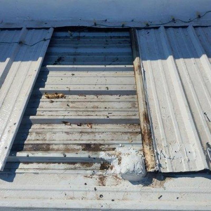 Metal roof panels with rust and sealant application Metal roof panels with rust and sealant application