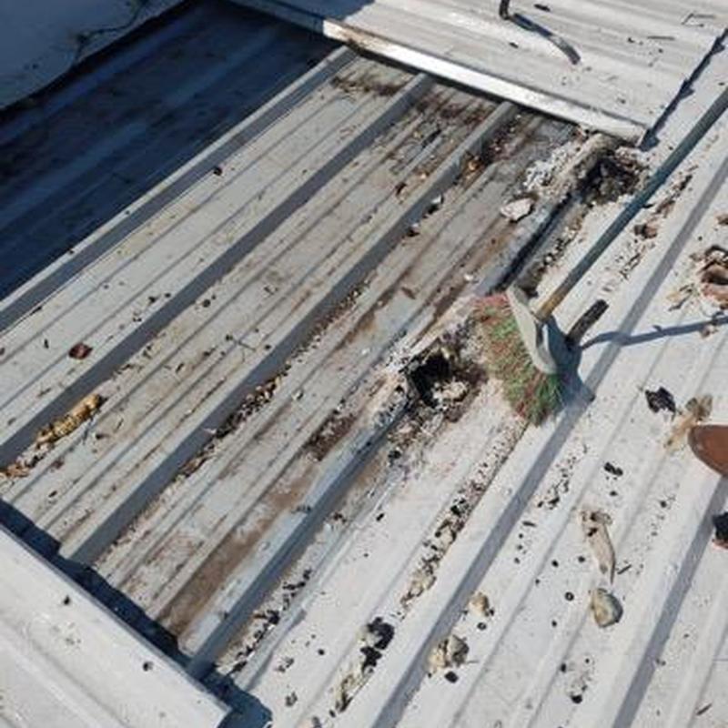 Metal roof panel with hail damage and debris cleanup Metal roof panel with hail damage and debris cleanup