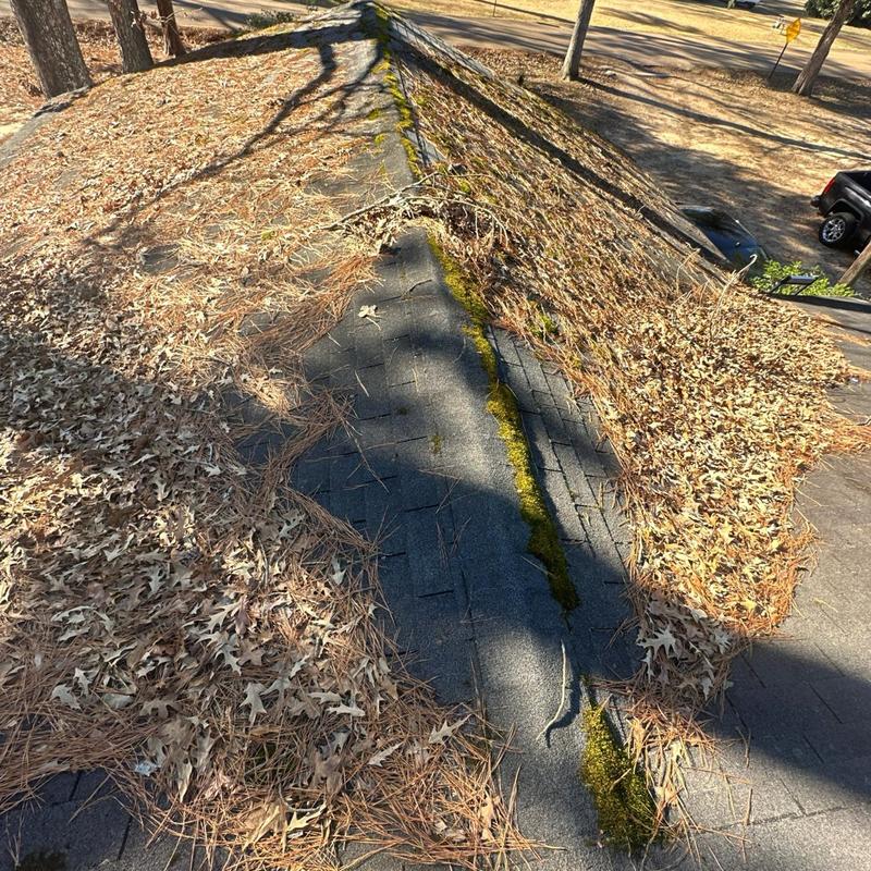 Asphalt shingle roof with moss and leaf buildup