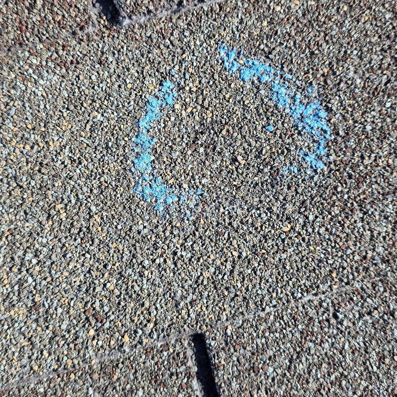 Asphalt shingle roof hail damage marked with blue circle Asphalt shingle roof hail damage marked with blue circle