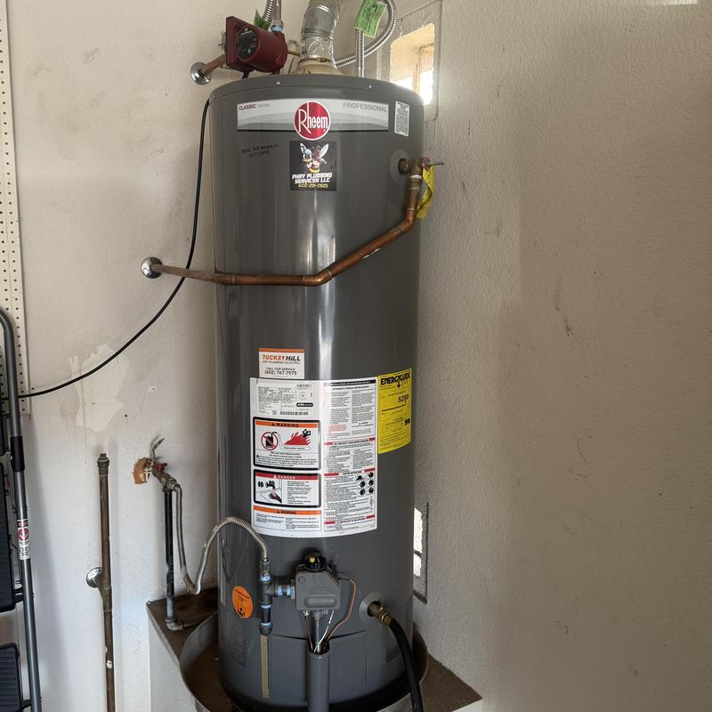 Rheem 2019 water heater draining and flushing in Goodyear