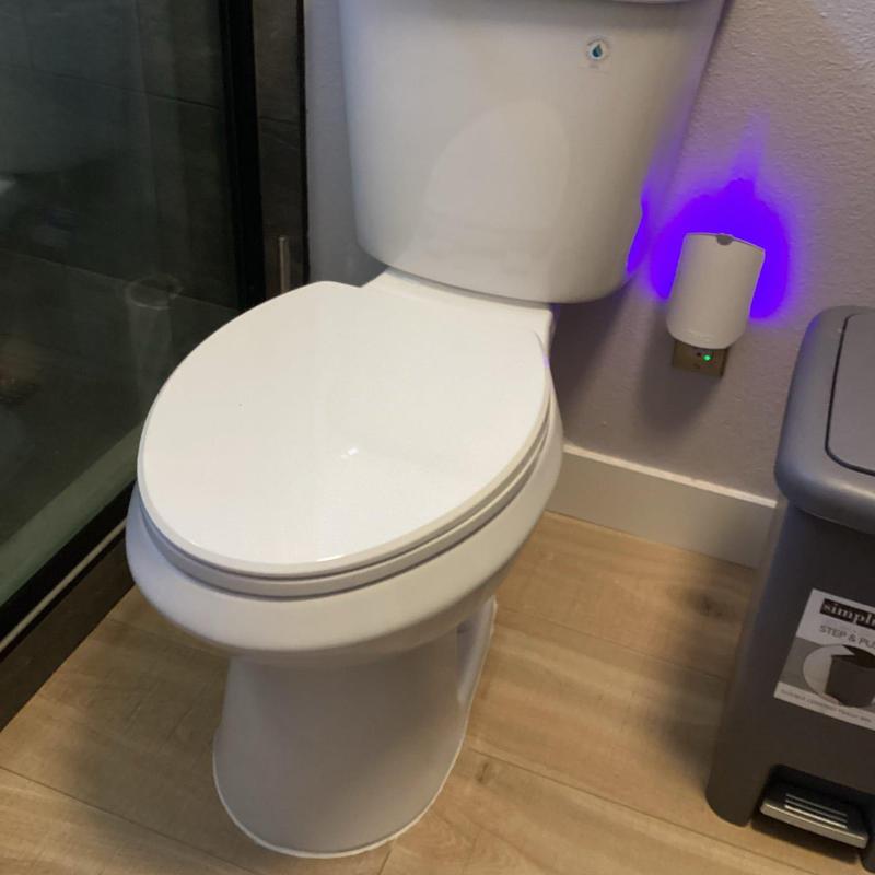 Economy chair height toilet installation with new supply line