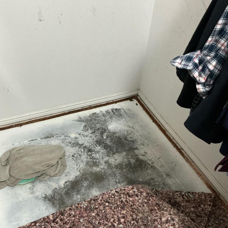 Floor mold growth in corner near baseboard trim