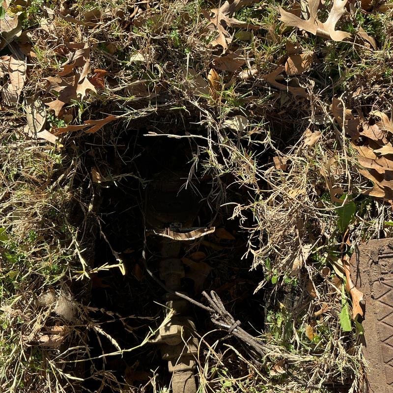 Outdoor water meter valve partially uncovered in grass and leaves