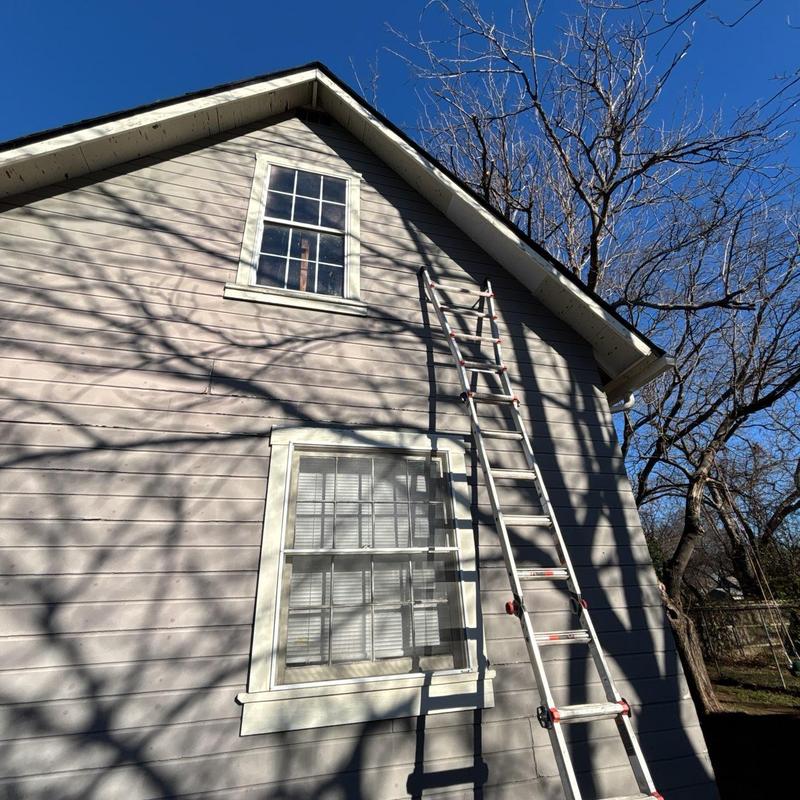 Fascia painting and tree trimming near roof ladder