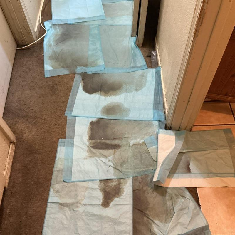 Cold side water manifold leak with hallway water damage