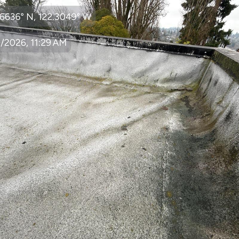 Flat roof membrane with water pooling and damage