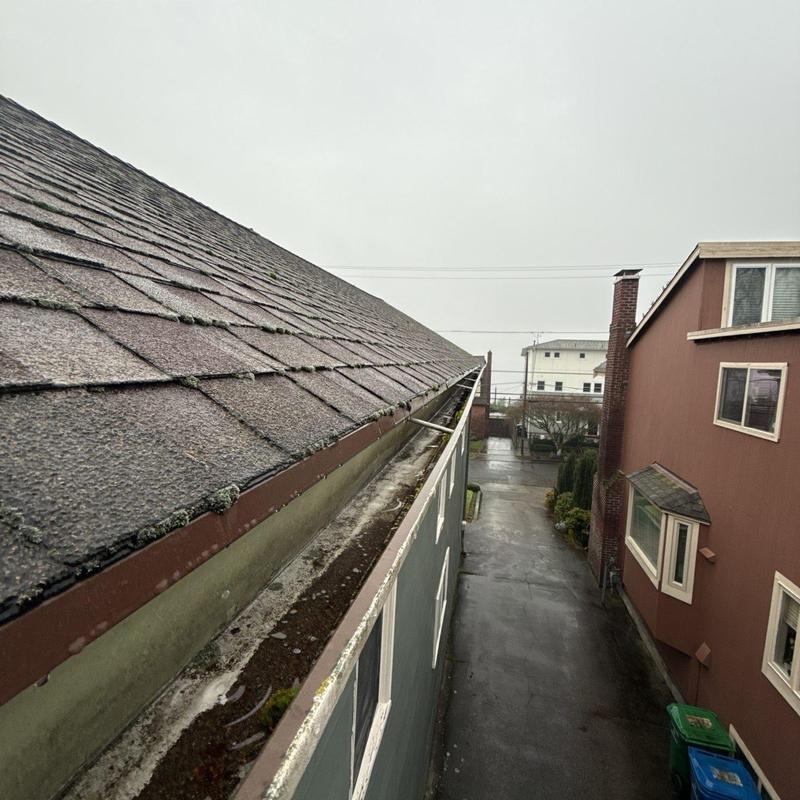 Rain gutter with waterproof seal along shingled roofline
