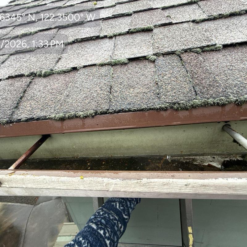 Gutter system with moss buildup on roof shingles