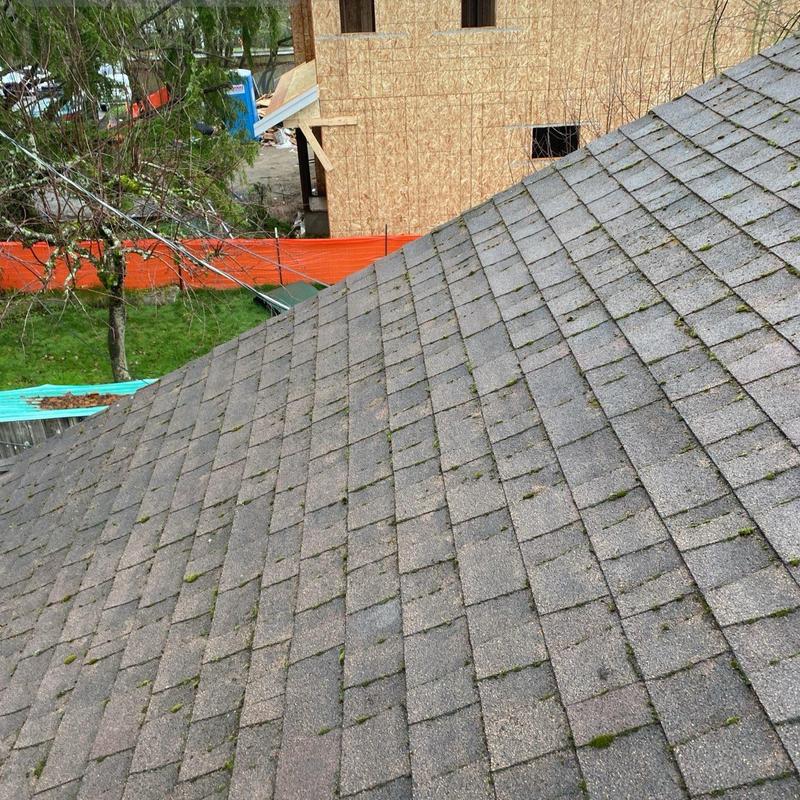 Roof shingles with light moss buildup before cleaning