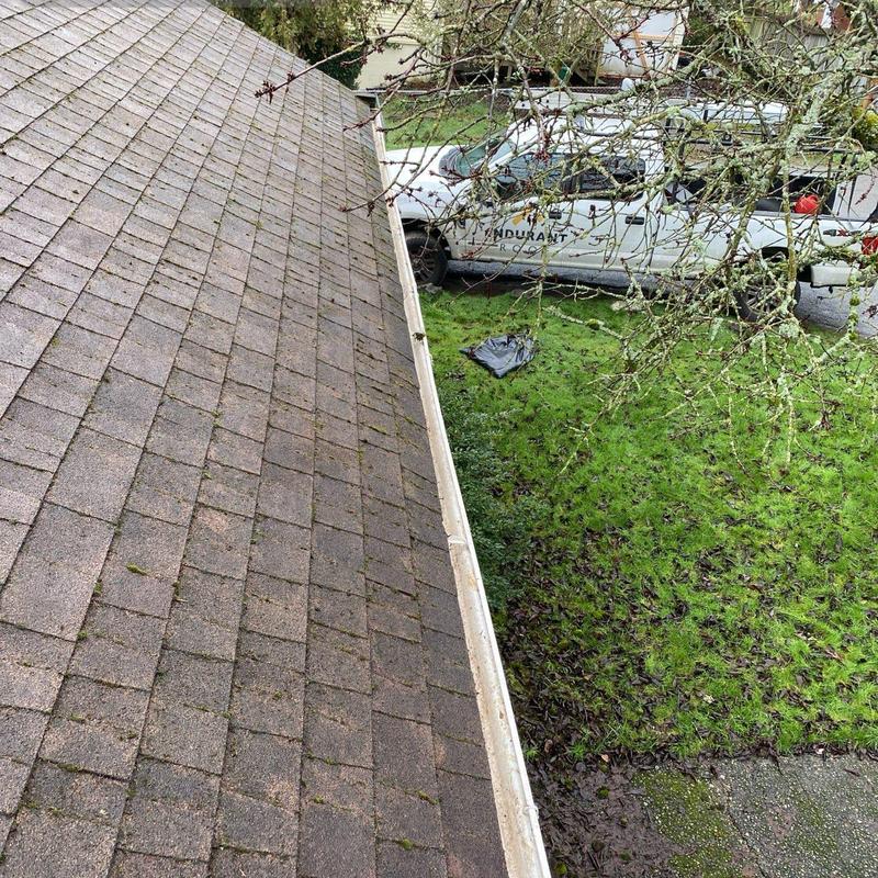 Roof shingles with moss removal and gutter cleaning in Seattle