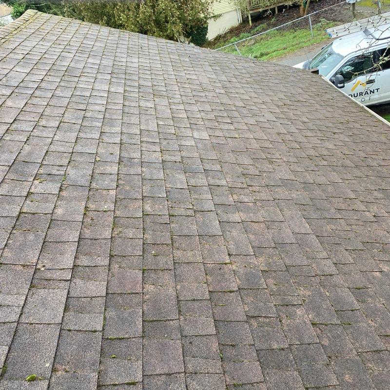 Asphalt shingle roof with light moss buildup in Seattle