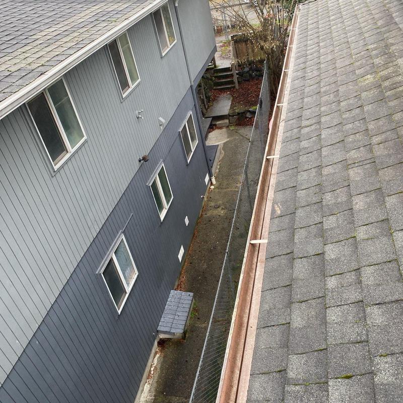 Gutter cleaning and moss treatment on shingle roof