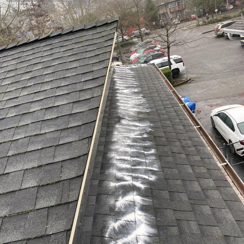 Roof ridge with moss treatment powder applied