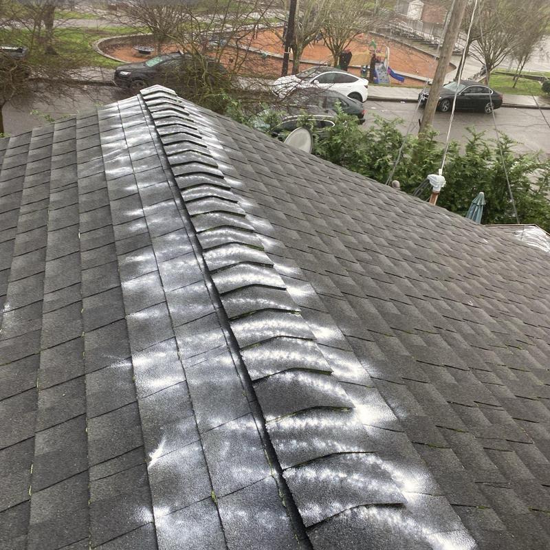Asphalt shingle ridge with moss treatment spray
