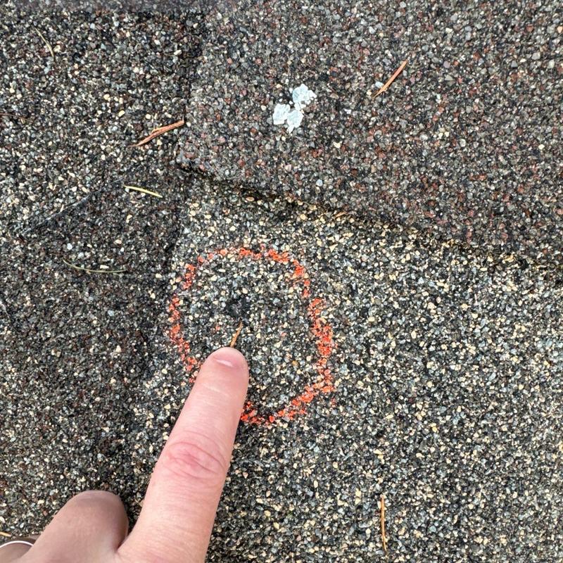Asphalt roof shingle with damage marked during inspection