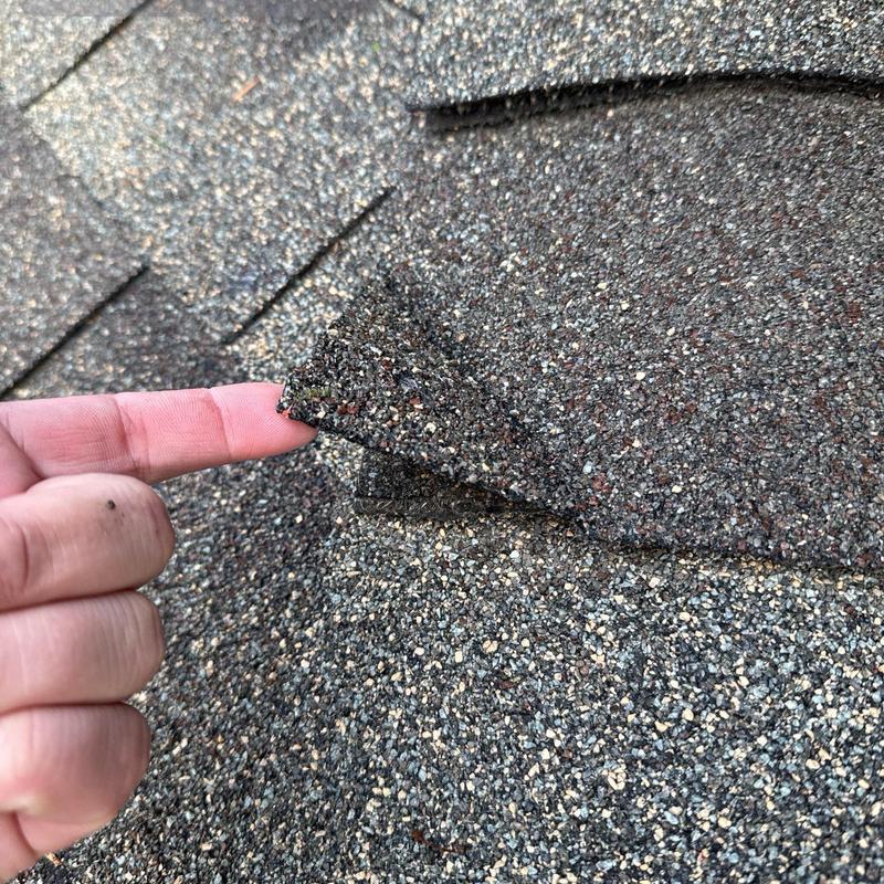 Asphalt roof shingles lifted during inspection in Kirkland