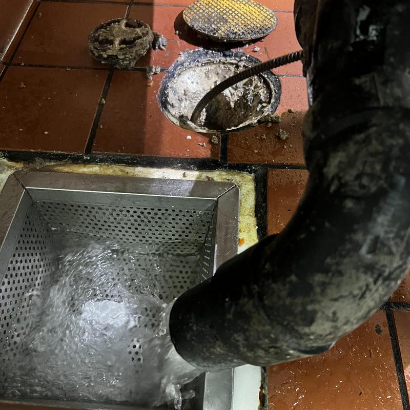 Floor drain with plumbing snake clearing blockage