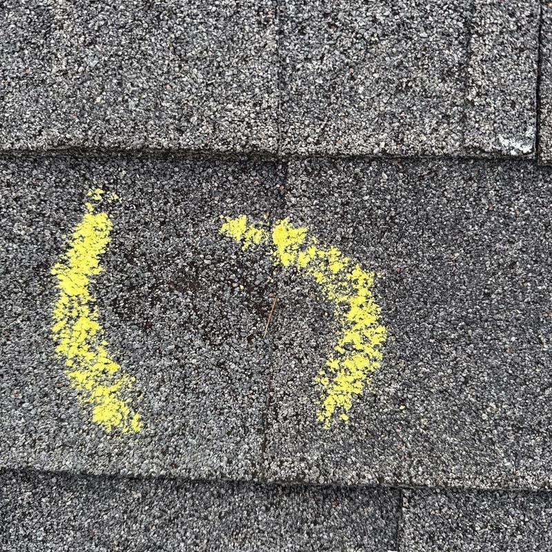 Roof shingle granule loss marked for hail damage inspection